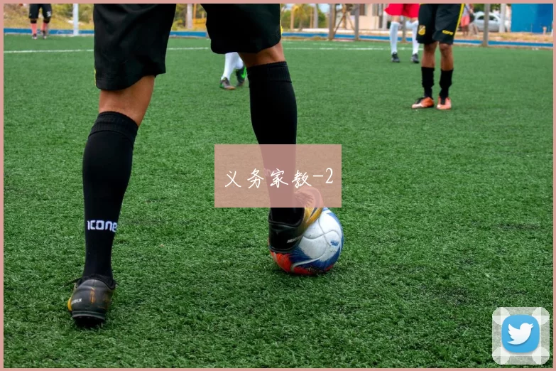 义务家教