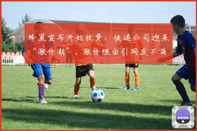 蜂巢宣布开始收费，快递公司迎来“涨价潮”, 涨价理由引网友不满